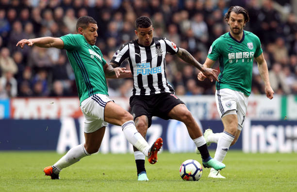 深厚感情 深厚感情